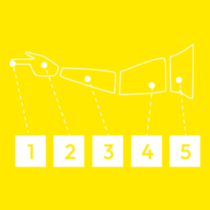 Yellow Belt Practitioner